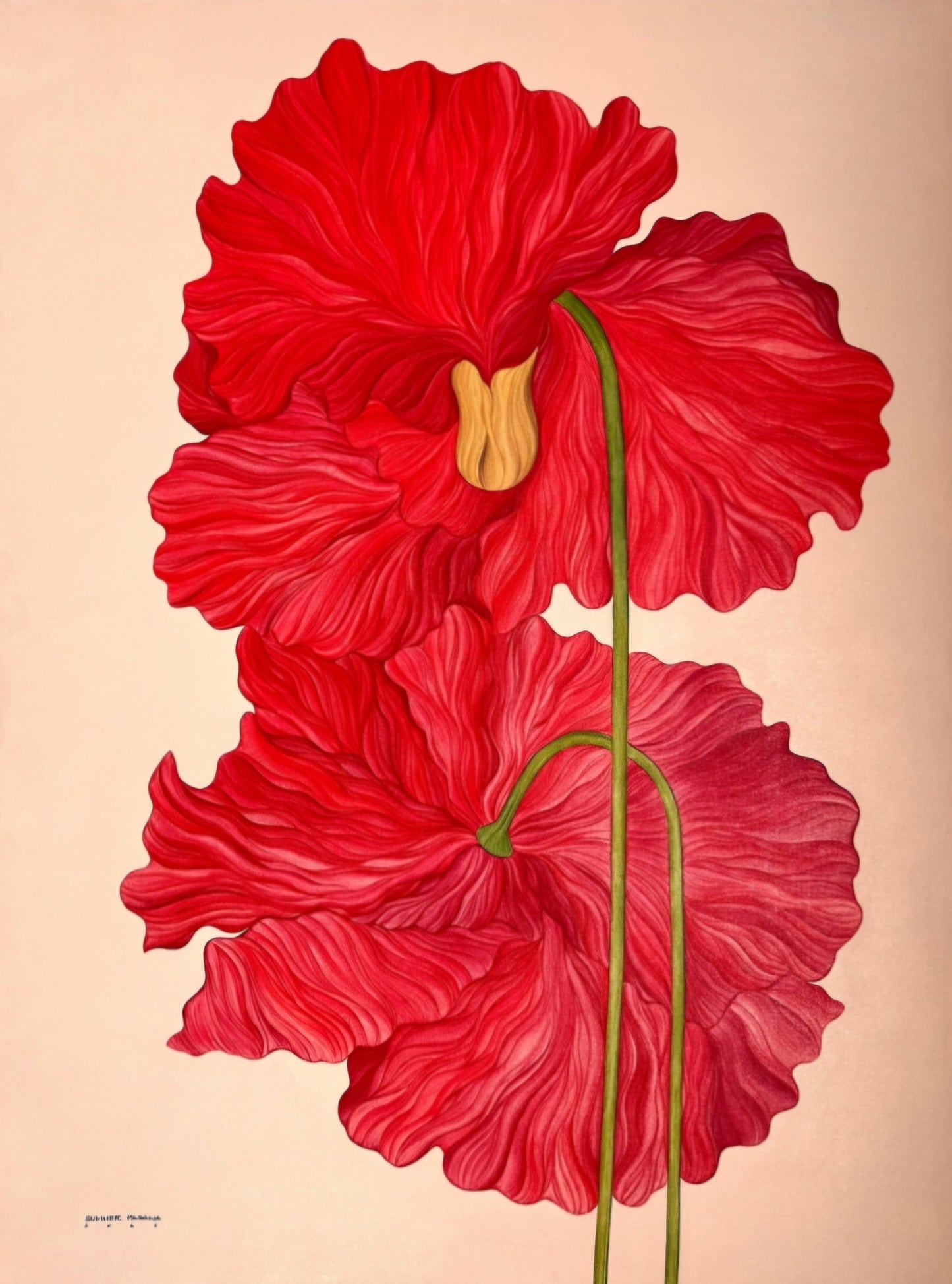 Flor Roja