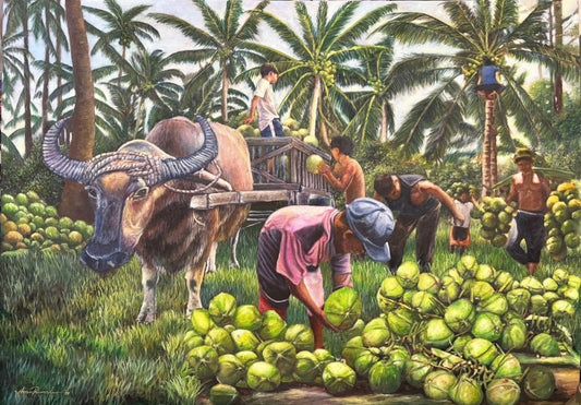 Coconut Harvest